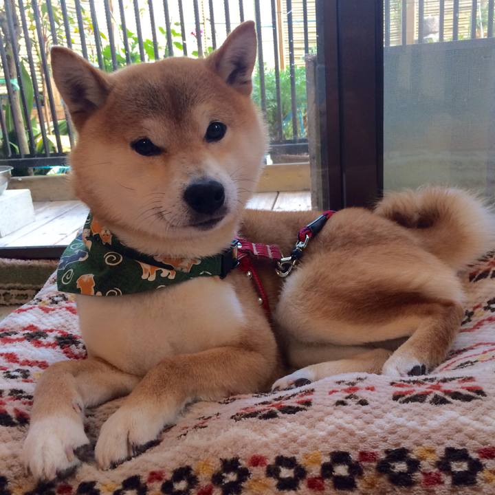 01e5675f 8677 4f5f b332 be4e57d742e3