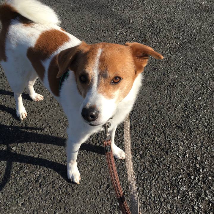 01e75b1e 4444 4fa2 9b30 c14cd91a26bf