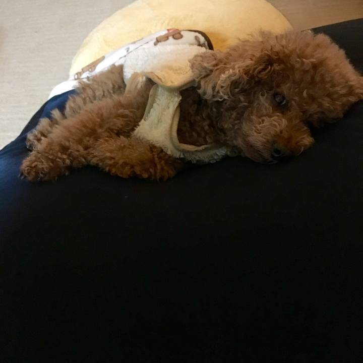 01e768f9 9ac9 41ba 8185 12c2b49e2eba