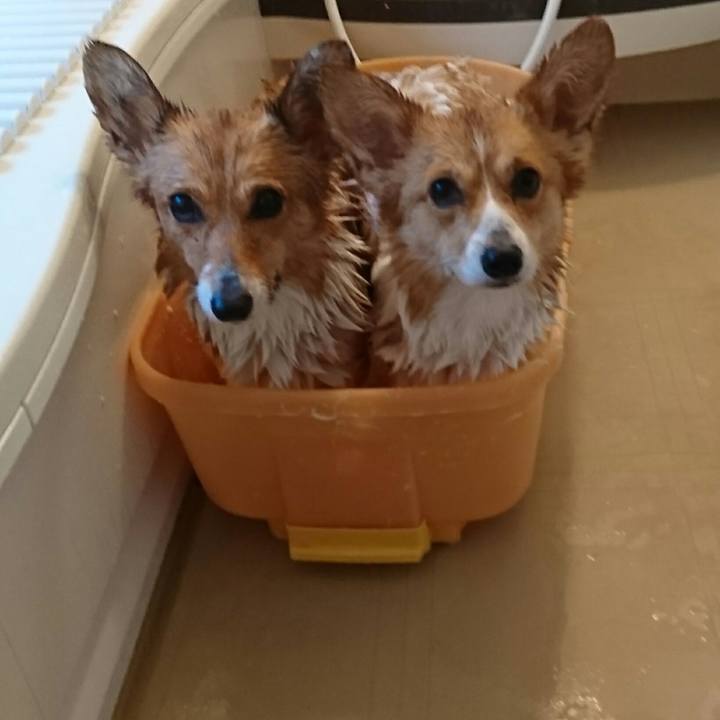 01e7880a a33e 4f25 acb0 a7931d08313a