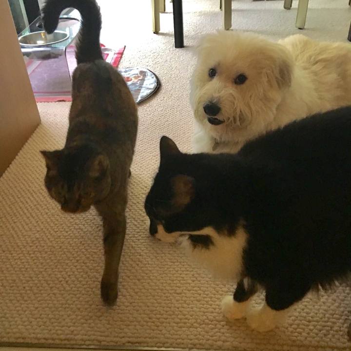 01e79a3e b465 46a7 9236 32efe975bc43