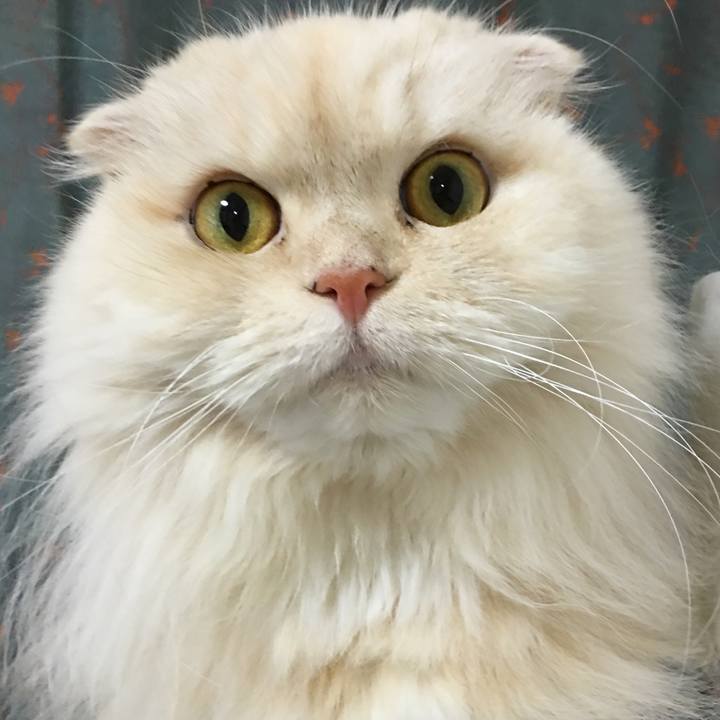 01e7cff6 c978 45a1 b187 58742d4235e6