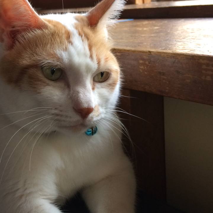 01e8307f cc95 4960 9158 d8056290068a