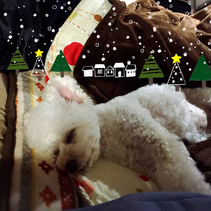 01e838ce 4bca 45d0 a392 9c12fff60c83