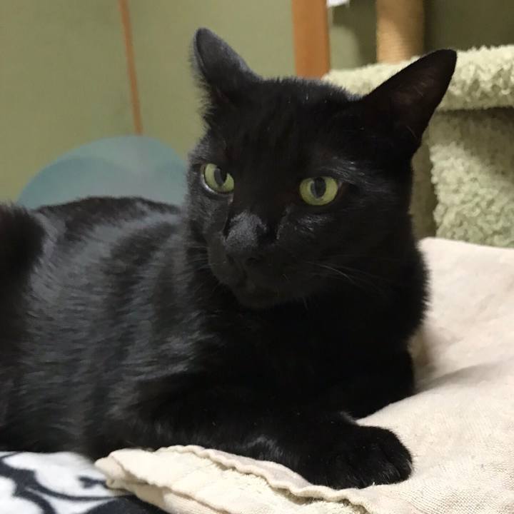 01e8afdd 2b79 4402 88c2 9c7c626f6a8e