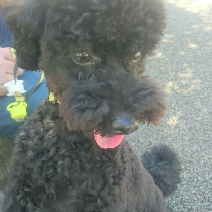 01e90868 2d71 43a8 9448 7c42add9233e