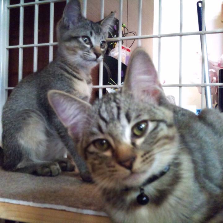 01e91031 1027 43d8 ad32 5abcd65c634b