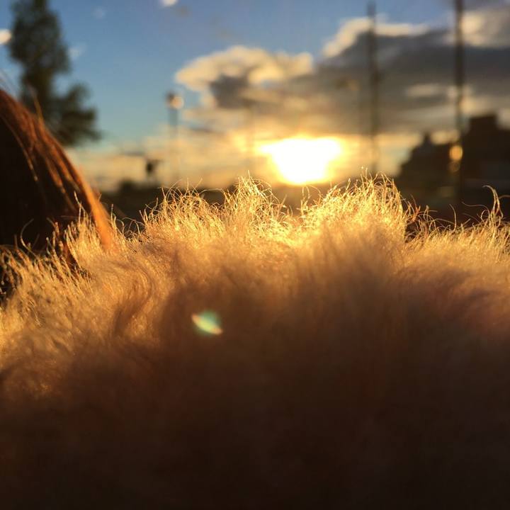 01e9642b a2ad 4f0e a9ba 8111766482e1