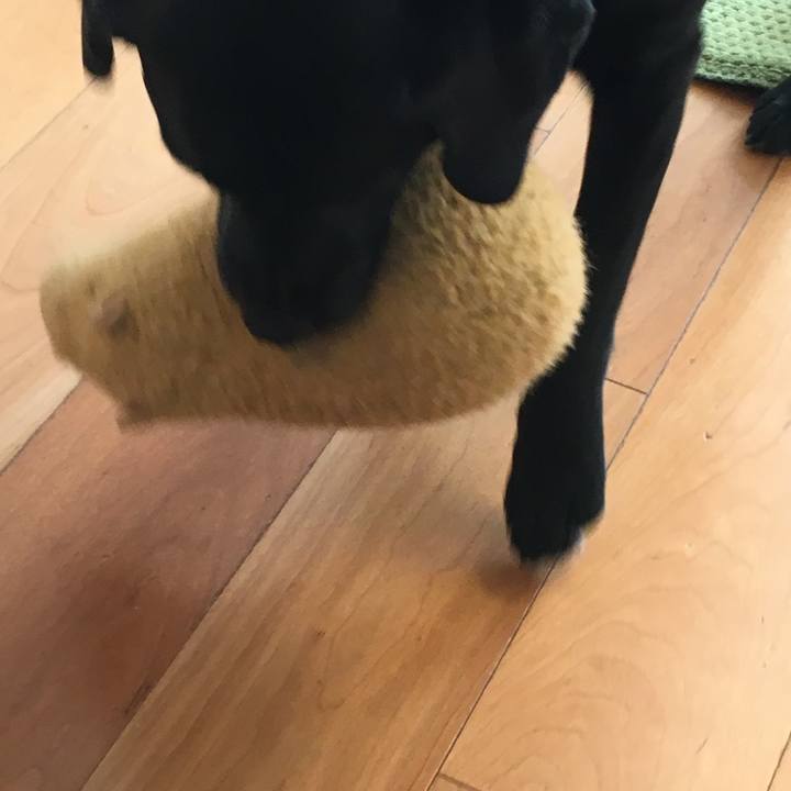 01e9dfc7 beba 4979 90a8 e4646ebe3a46