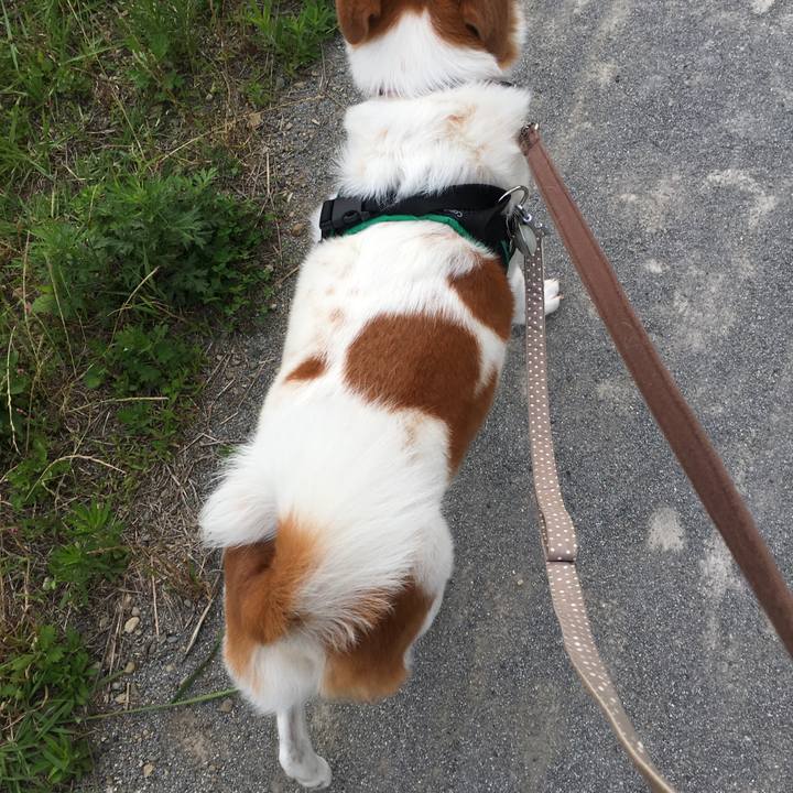 01e9f449 e547 4019 9d2c d237d1913e83