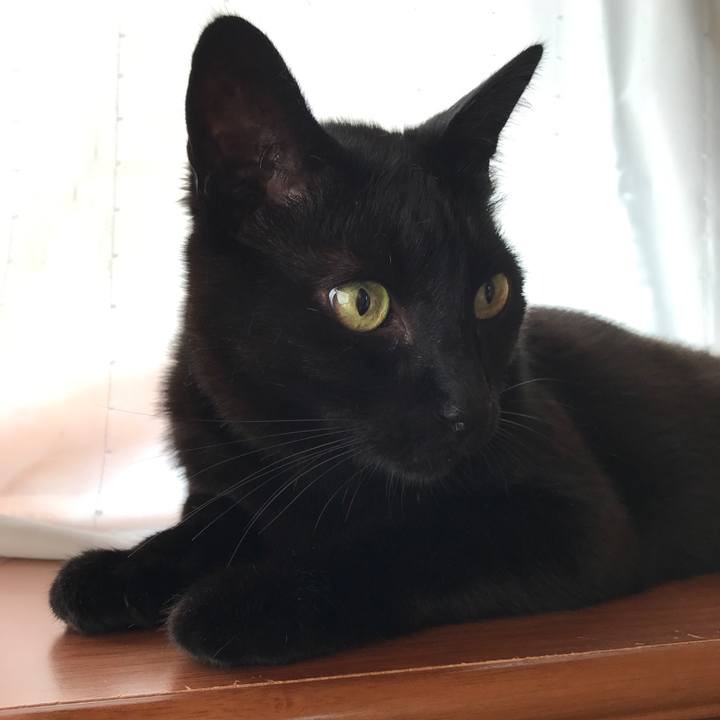 01ea57a8 0493 479f b57b d8eb0717f77e