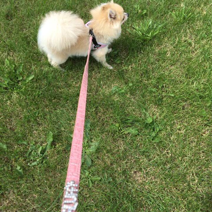 01ea7fdc dff1 46a6 af67 92e87e6c52aa