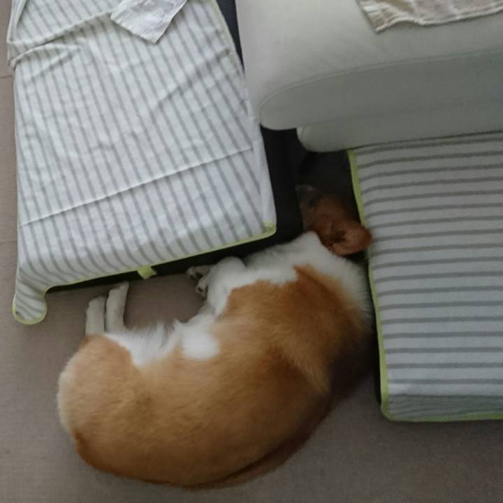 01ead0e1 ebbc 4f42 a683 5d008f5133cc