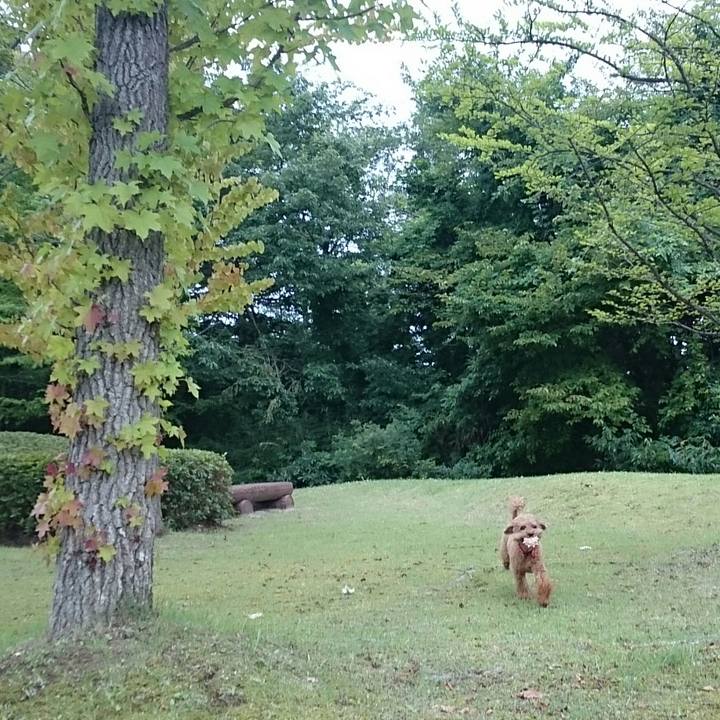 01eb0cd2 a196 4890 9dac 968ad5f3d48d