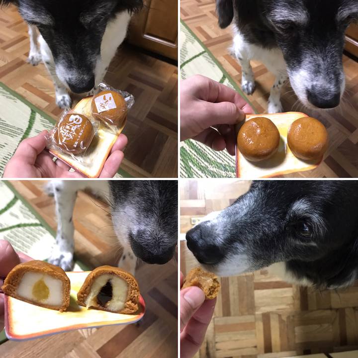 01eb1866 9cc1 4931 973a baa692685e74