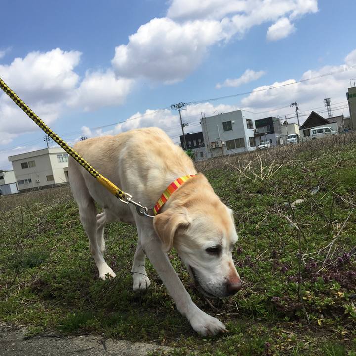 01eb6406 44d7 4c4c b504 18c503cf2e24