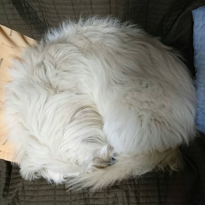 01ebf670 a42f 4e10 a26f bd1c41ba4f55