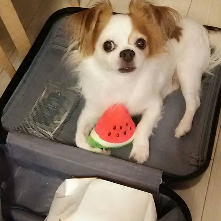 01ec5863 41bb 4097 8944 129fda25796e