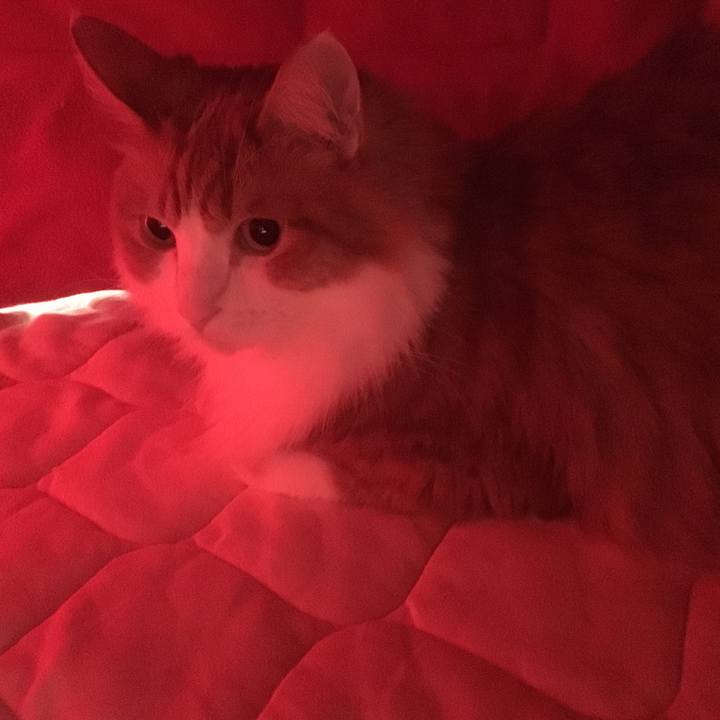 01ec8a27 79e3 45e6 a2b1 df70f6934588