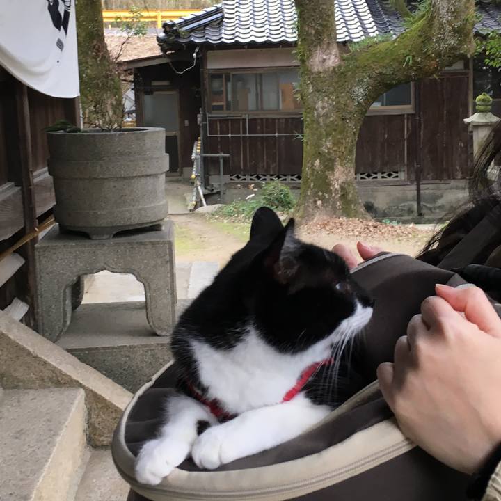 01ecb43f a1e2 4acc 8f9c 7ae3ab6bceca