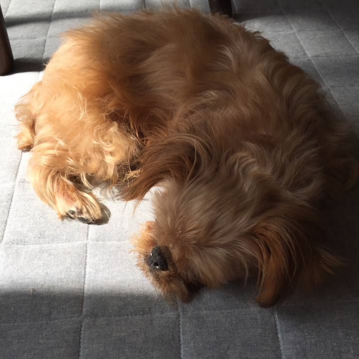 01ecb576 c524 4772 89b7 1d95b2b387ce