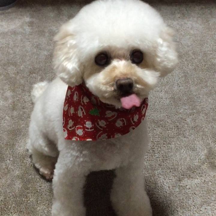 01edc44d 91f8 4b1a 9482 789e97d694cc