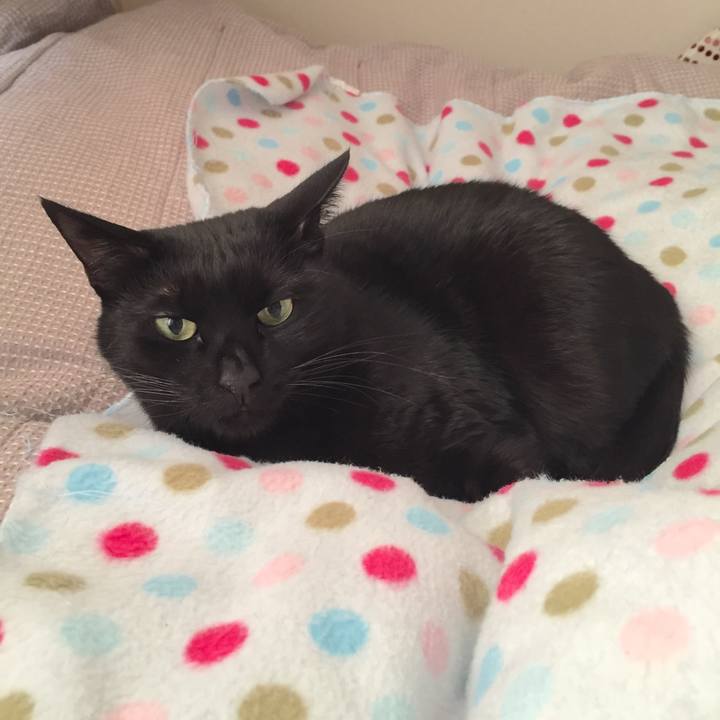 01eec076 43fa 4391 bee6 b322bb410aa4