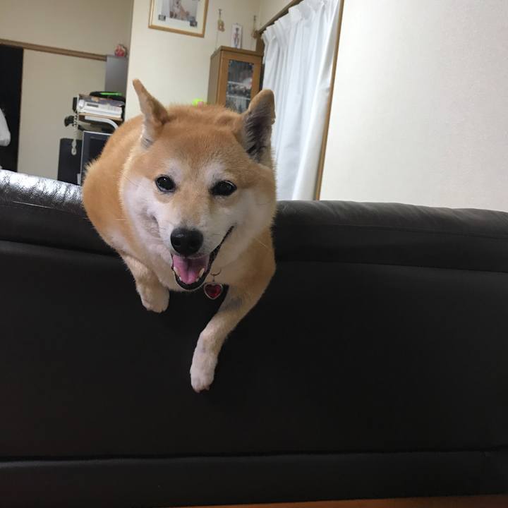 01ef03e9 0c93 4784 9cbf eb8fdc51f185