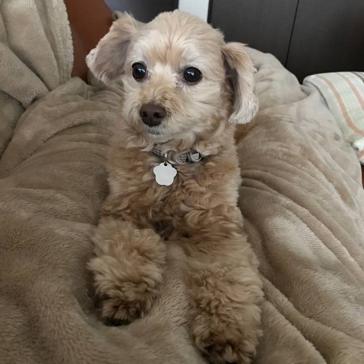 01ef6c31 7e10 4f57 bf9c ae0621b25d8a