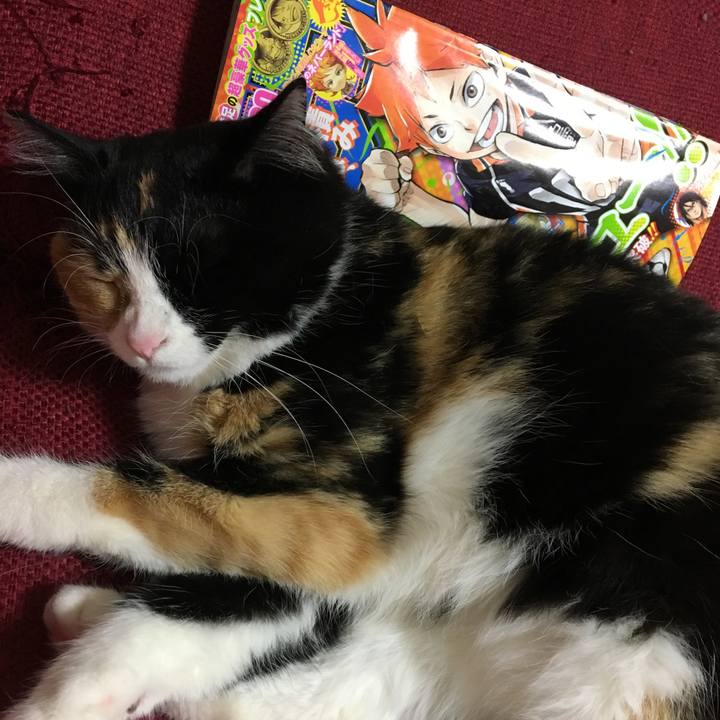 01ef71cd 68ab 4b40 9815 55d8dccb02b3