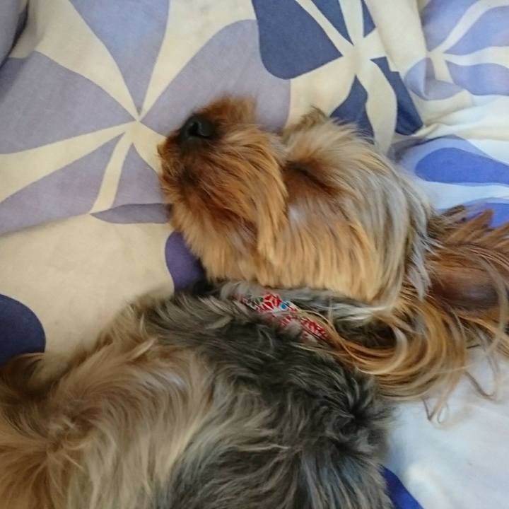 01ef81cb 46f4 4679 940a aceab221f6d2