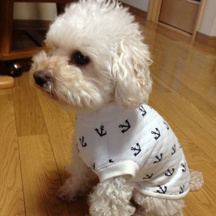 01efce7a b40a 4347 a28c 8c5c36b34336