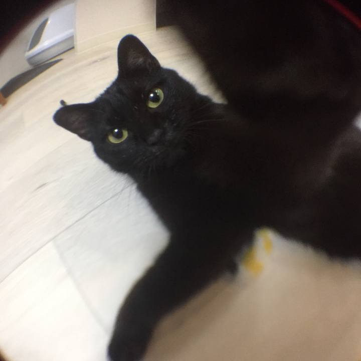 01f04281 f4e2 4af2 b18d d6b6d1c9f028