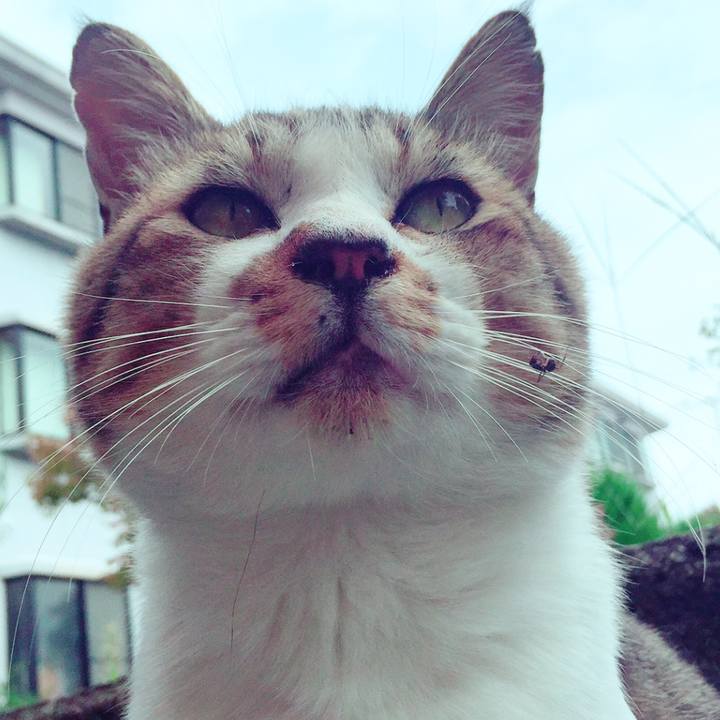 01f1d8ad fa12 4d6d ab16 0c9a275a3c69