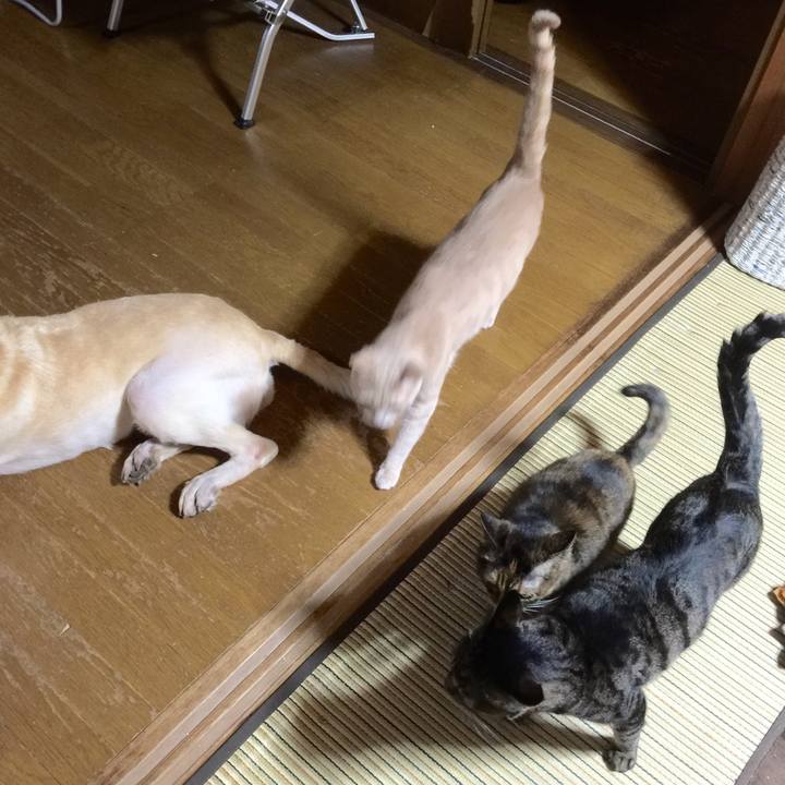 01f23553 7632 41e3 8f29 51e1891c5257