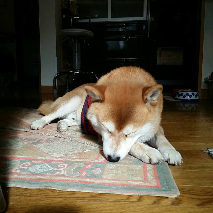 01f287bb df42 432f 8447 327f0c3eb13b