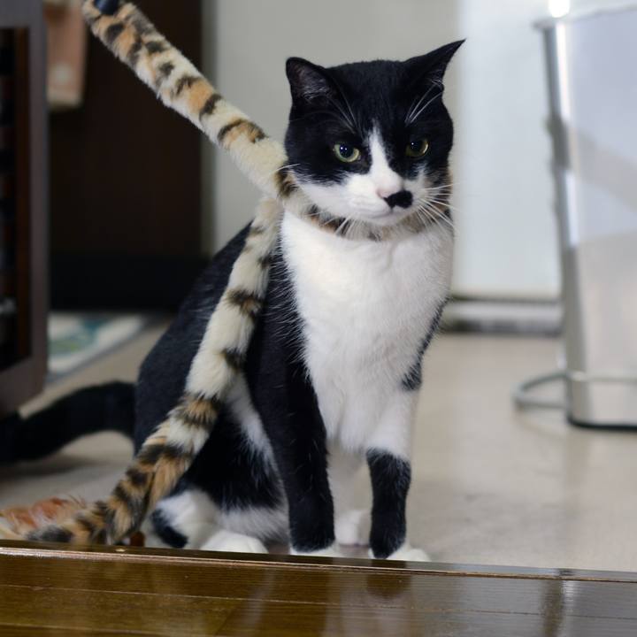 01f28e3d d86e 4f83 b29d 93acda6e0608