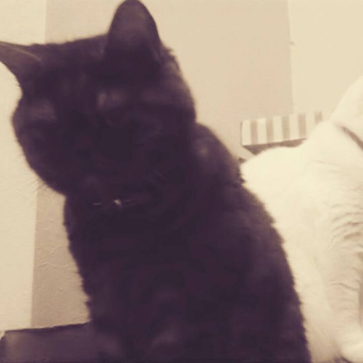 01f2abf7 1fd5 4852 9fb7 32434ffc0cd0