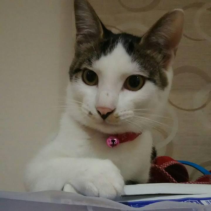 01f2d741 1489 4688 bf05 1cca1e4e430e