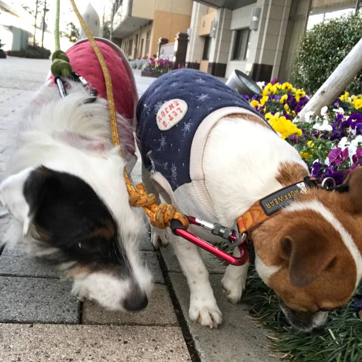 01f3a3b2 ae30 4d34 8a61 e90a144d09bf