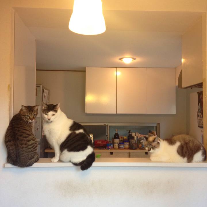 01f3c7d2 b889 4f0b a296 5953e56c09d3