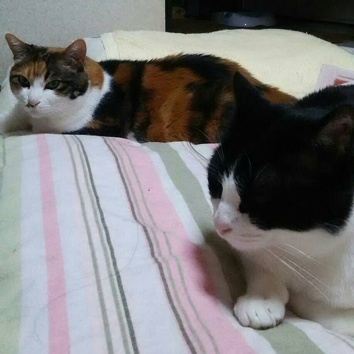 01f40b8e 1e6b 402e bff6 b366e30a2c88