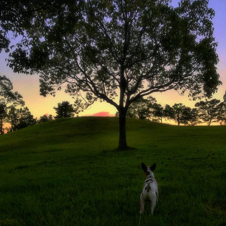 01f410e3 797f 4cac 804b 9a57bc4e60dc