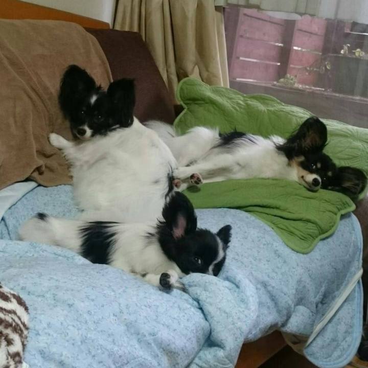 01f52500 9d70 491f 8029 46b87f6b5945