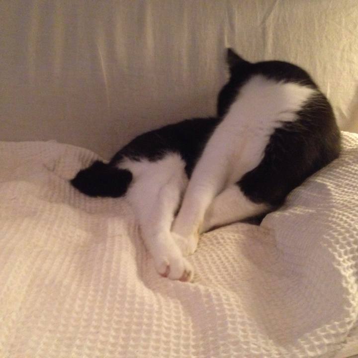 01f5a408 bc94 48f6 9210 d8e76300d768