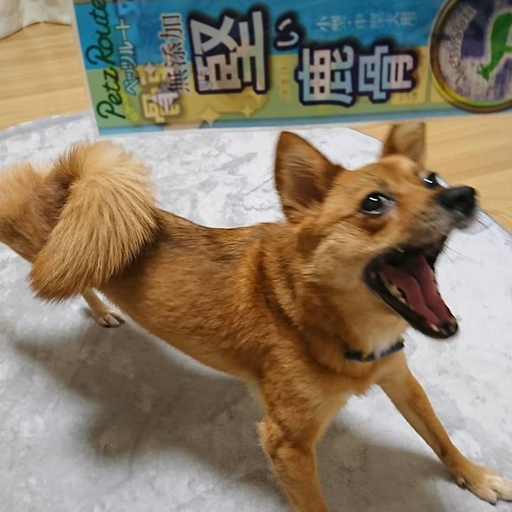 01f60e5e caf6 4cd0 b685 db9985defd4d