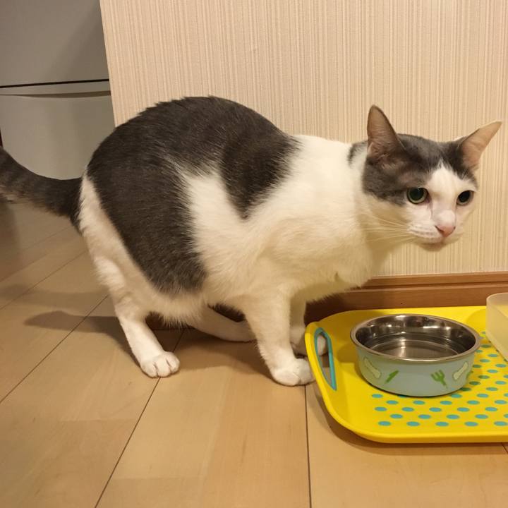 01f63bd0 2d0e 4b48 ba80 da126c803157