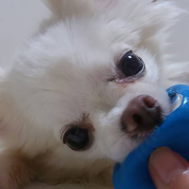 01f6c716 f77f 4a3b ab85 338cd0bac9e4