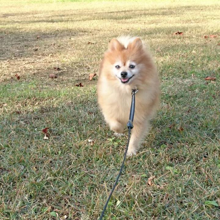 01f7207f b0cc 48e6 9873 195620d61d84