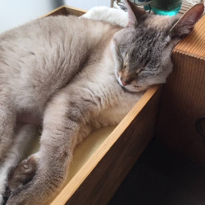 01f76763 a459 4ab1 b320 24b73f4a478f